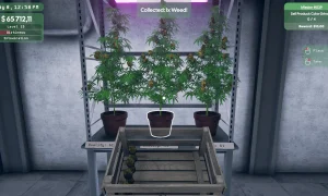 scr3